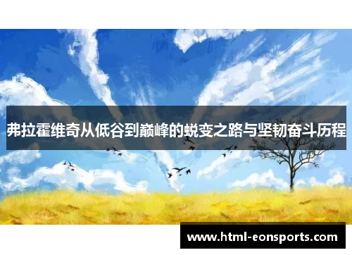 弗拉霍维奇从低谷到巅峰的蜕变之路与坚韧奋斗历程