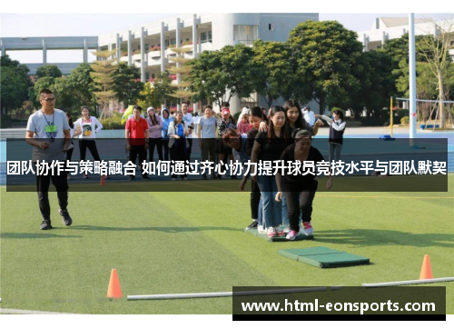 团队协作与策略融合 如何通过齐心协力提升球员竞技水平与团队默契