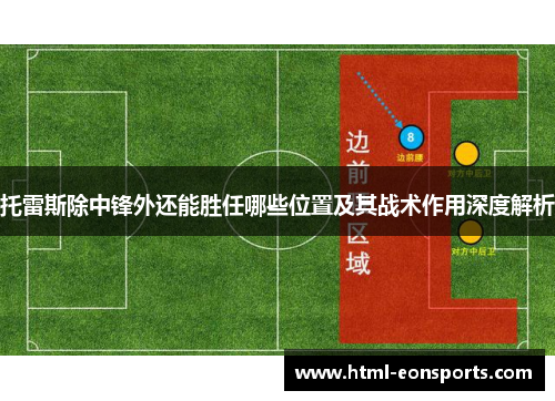 托雷斯除中锋外还能胜任哪些位置及其战术作用深度解析